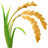 Колоски риса 