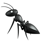 Голова муравья 