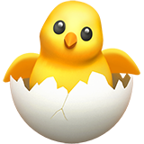 Развитие птенцов в яйце