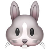 Голова кролика 
